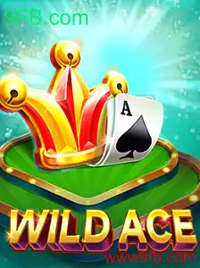 Explorando o Mundo Empolgante de WildAce